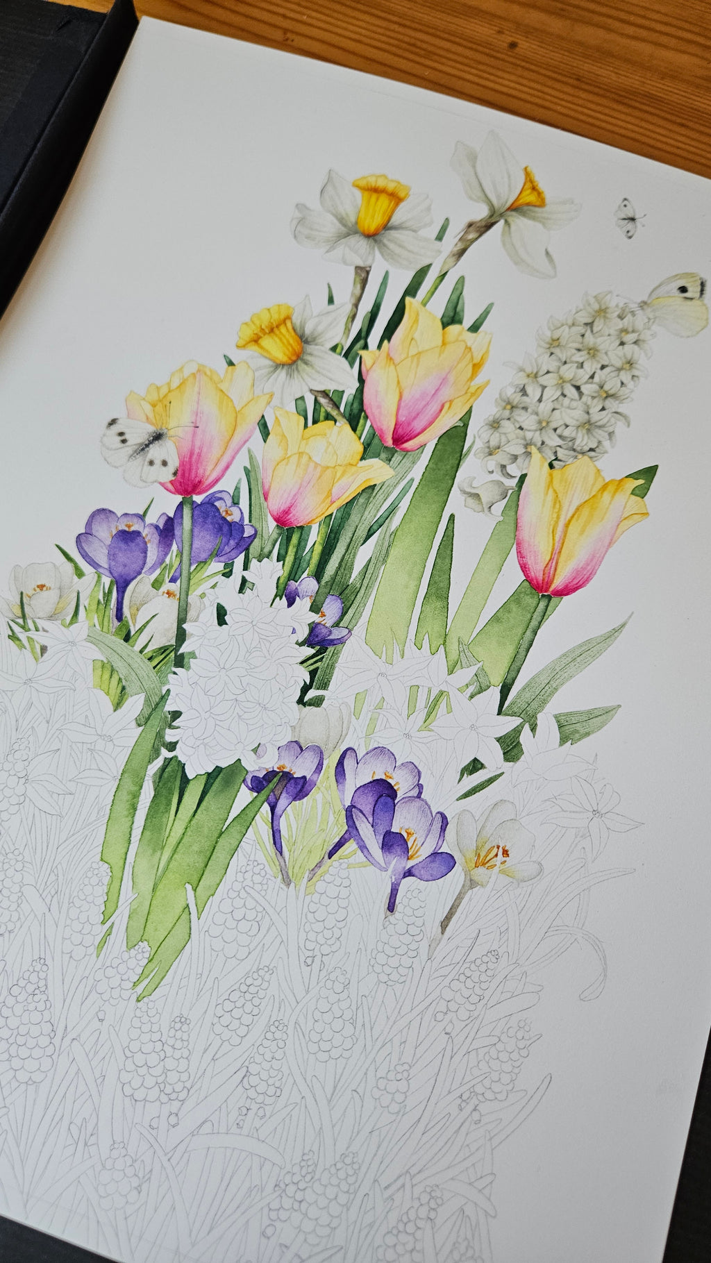 Bulb'up collection - Jardinière Laura