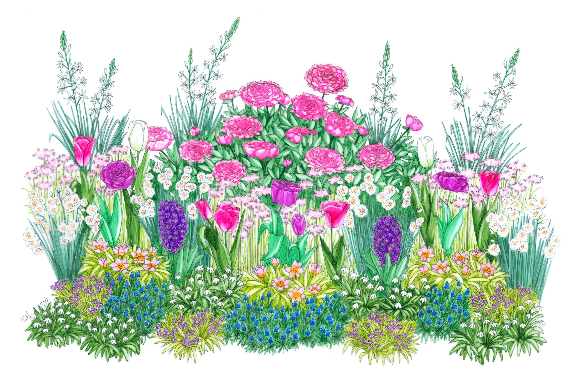 Bulb'up - Tendre Printemps