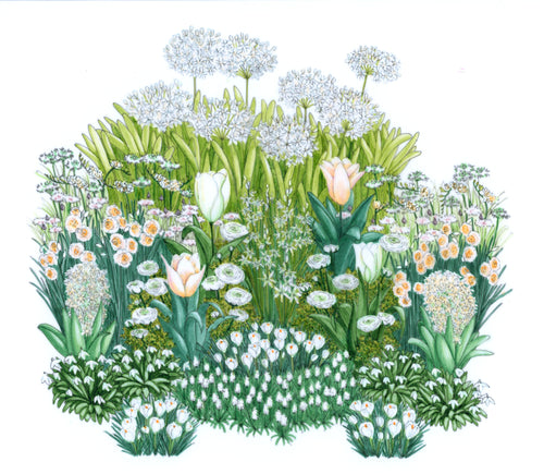 Bulb'up Noël - Premières Lueurs