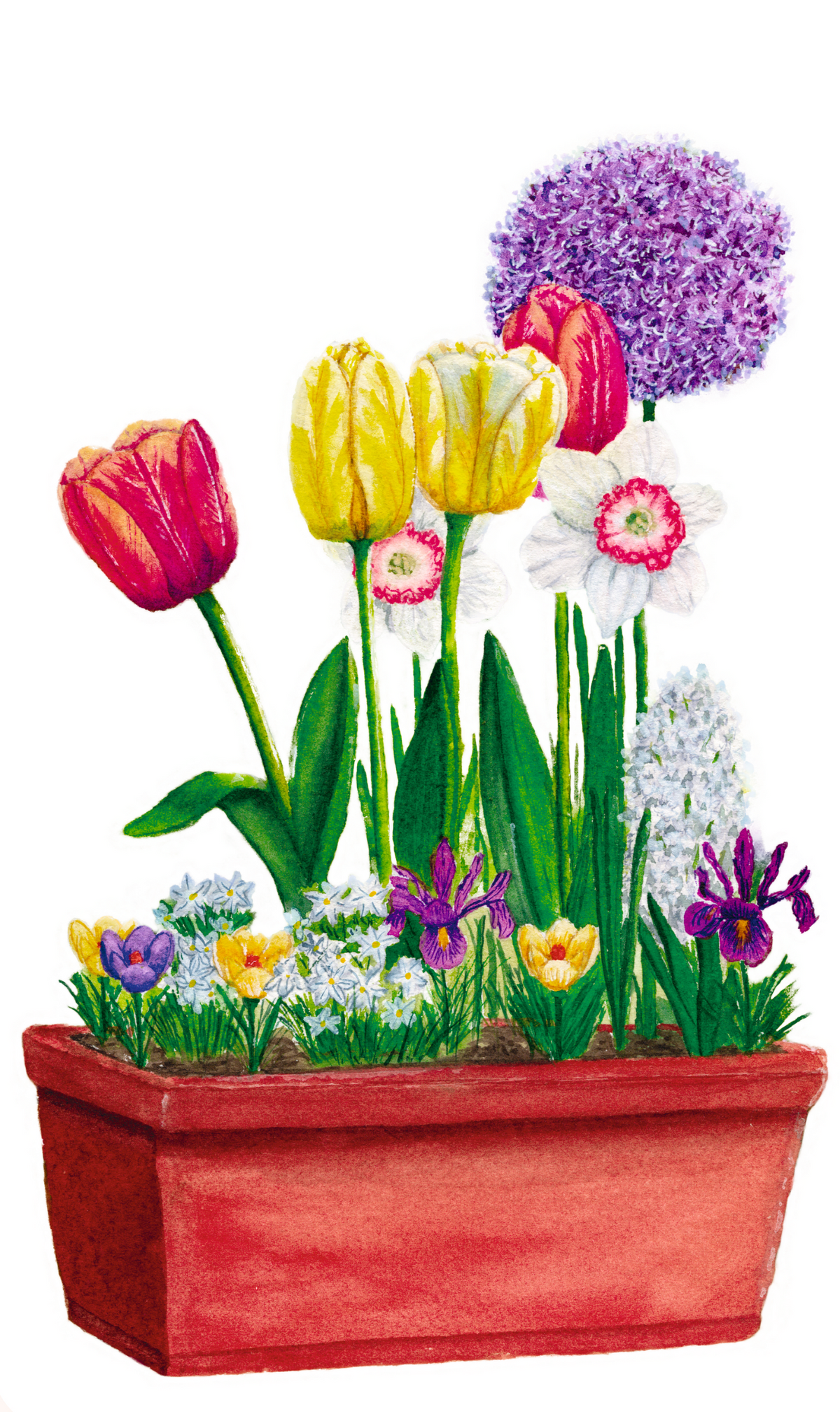 Bulb'up collection - Jardinière Mathilde