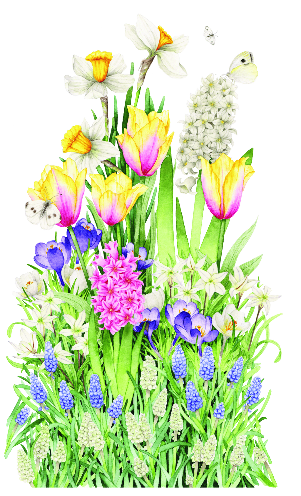 Bulb'up collection - Jardinière Laura