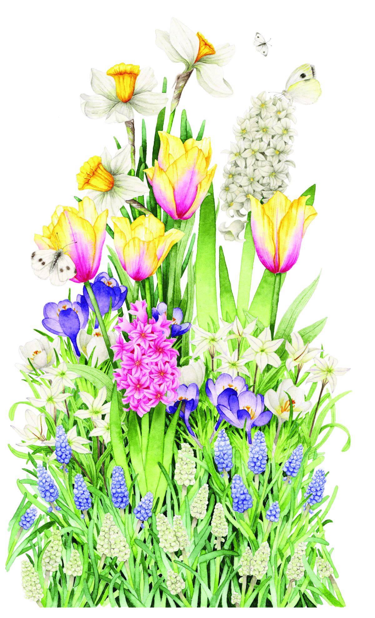 Bulb'up collection - Jardinière Laura