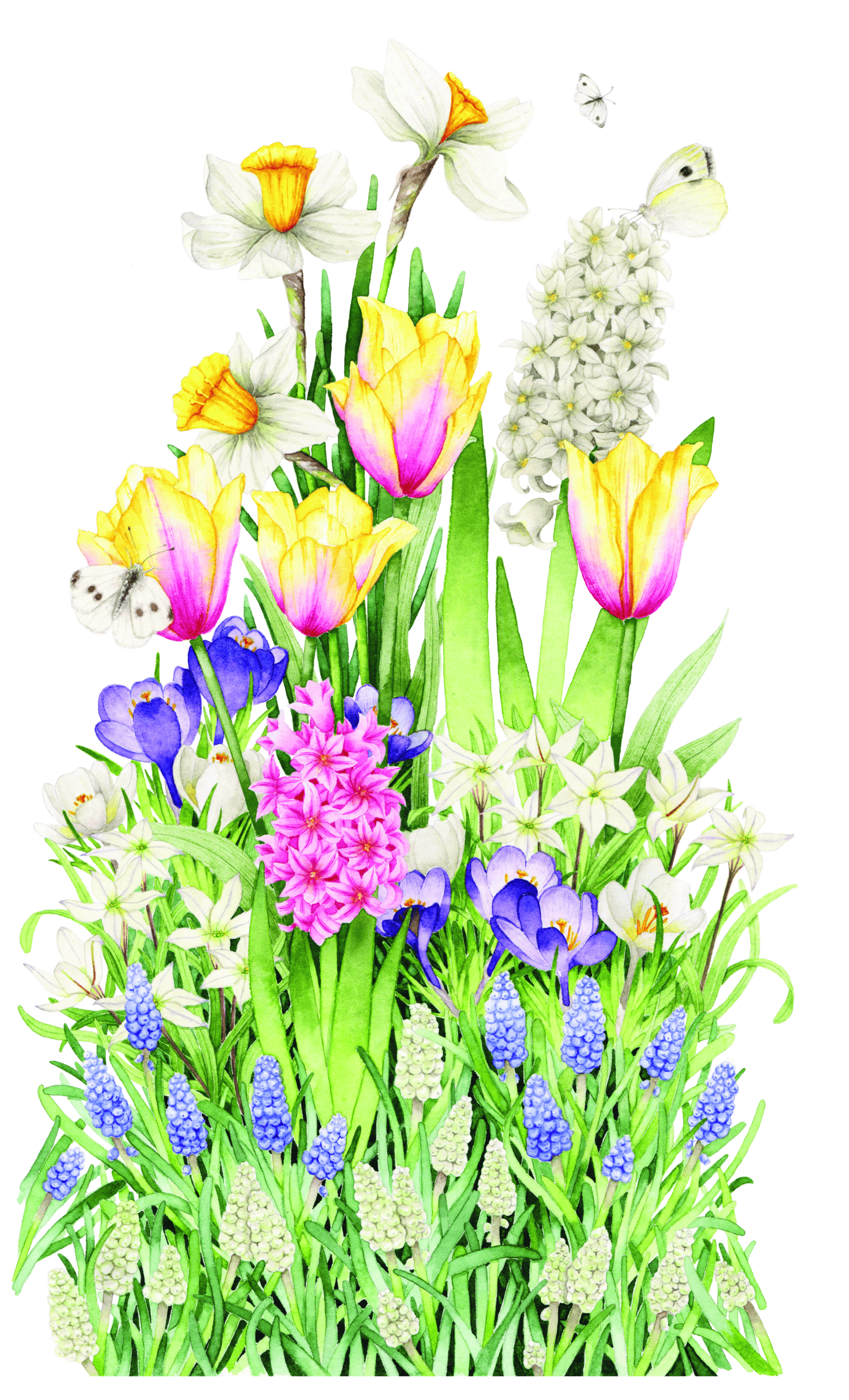 Bulb'up collection - Jardinière Laura