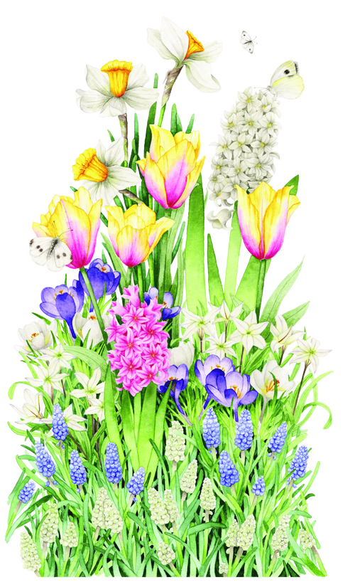 Bulb'up collection - Jardinière Laura