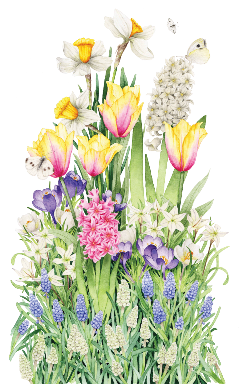 Bulb'up collection - Jardinière Laura