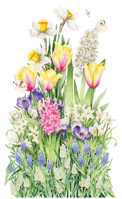 Bulb'up collection - Jardinière Laura