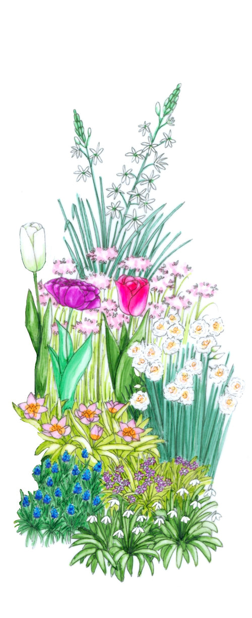 Bulb'up mini jardinière
